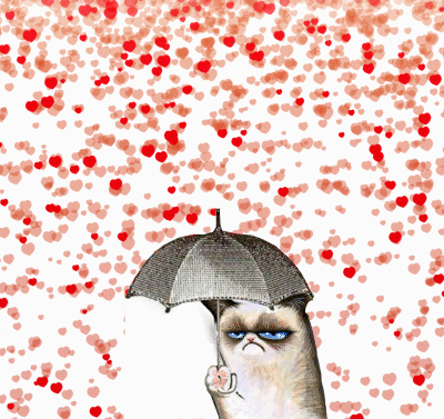 Grumpy Cat Heart Tunnel Showering GIF