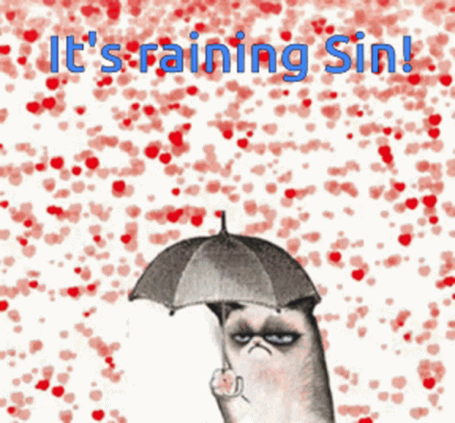 Grumpy Cat Holding Umbrella Raining Sin