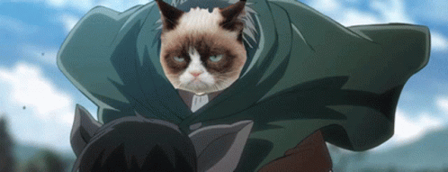 Grumpy Cat in Cape Next to Man