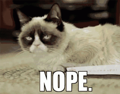 Grumpy Cat Nope Meme GIF