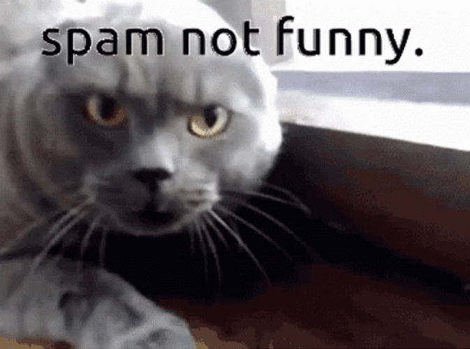 Grumpy Cat Spam Not Funny Meme GIF