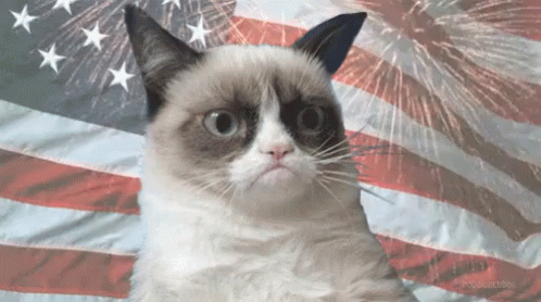Grumpy Cat With American Flag and Fireworks