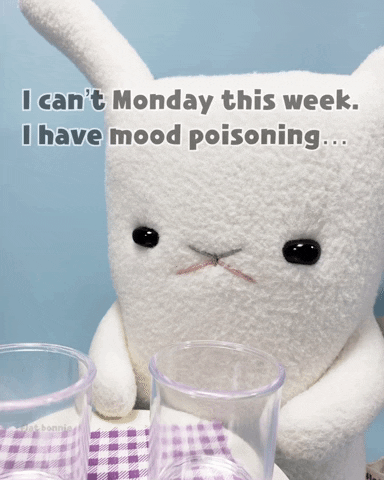Grumpy Cute Monday GIF