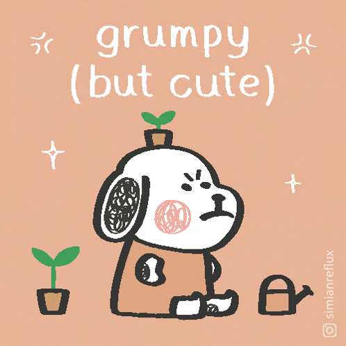 Grumpy Dog With Plant on Head