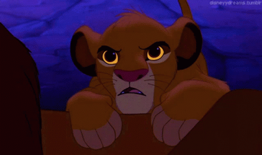 Grumpy Little Simba GIF