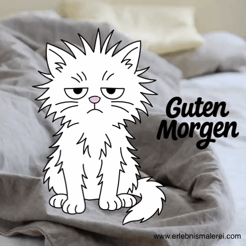 Grumpy White Cat Sitting On Bed Guten Morgen GIF