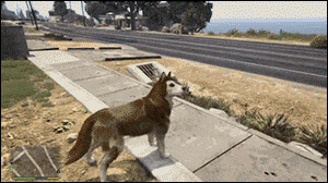 Gta Dog Wasted GIF