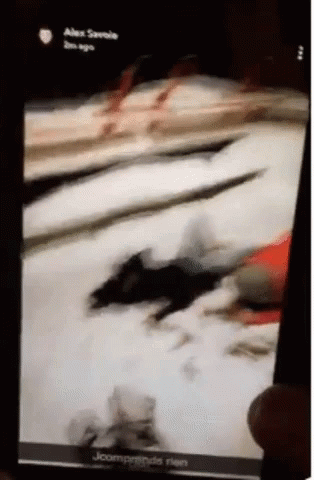 Gta Wasted Edit On Phone GIF