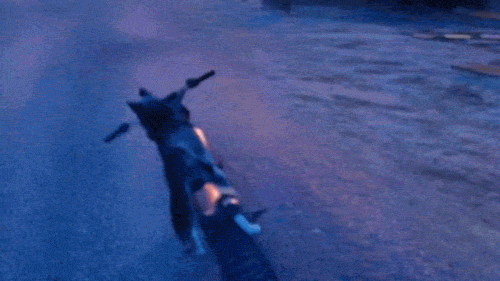 Gta5 Dog Drives Motorcycle Mod GIF