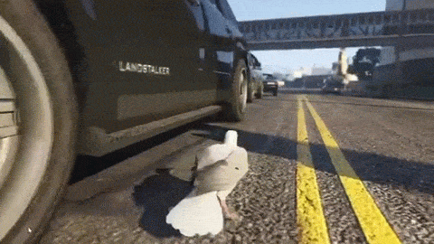 Gta5 Pigeon Carnapping Funny GIF