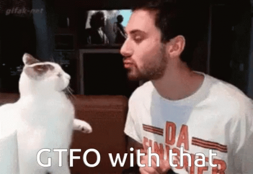 Gtfo White Cat Slaps The Man GIF