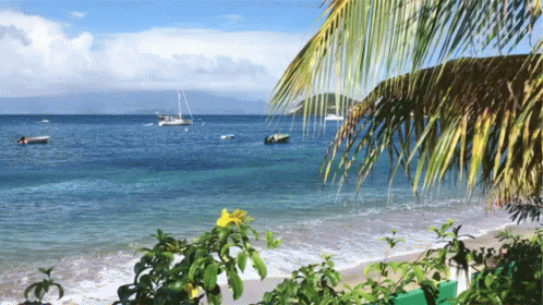 Guadeloupe Beach GIF