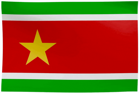 Guadeloupe Old Flag Close Up GIF