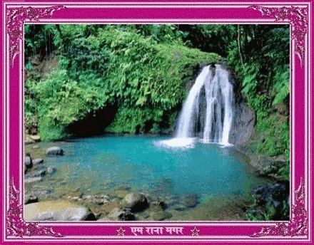 Guadeloupe Waterfalls GIF