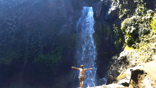 Guadeloupe Waterfalls Guy GIF