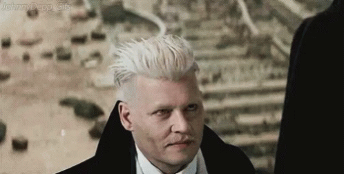 Guard Arresting Gellert Grindelwald GIF