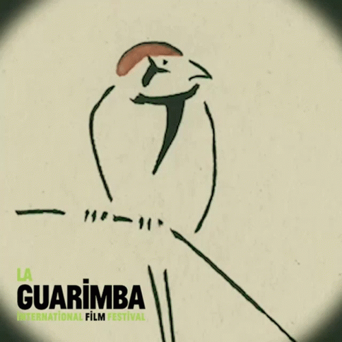 Guarimba International Film Festival Bird Poster