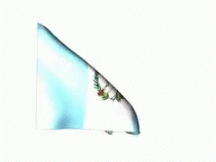 Guatemala Flag Windblown GIF