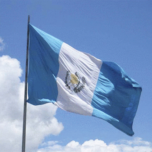 Guatemala Pride Flag Waving GIF