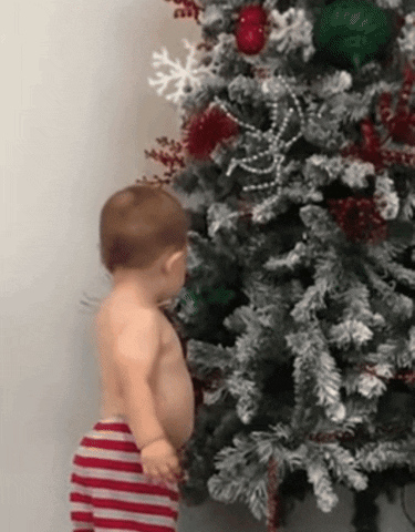 Guilty Bad Boy Baby Staring GIF