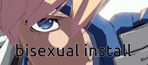 Guilty Gear Bisexual Install Meme GIF