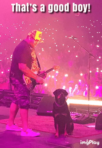 Guitarist with Dog That's a Good Boy