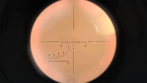 Gun Shooter Lens GIF