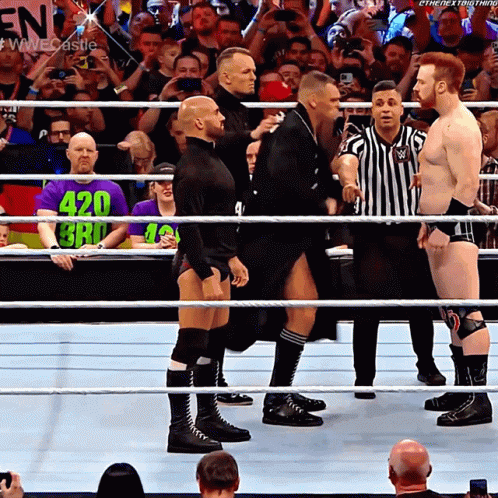 Gunther Imperium Vs Sheamus GIF