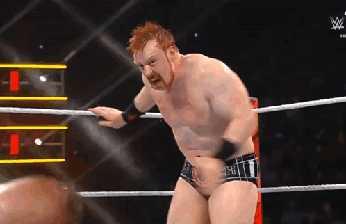 Gunther Power Bomb Sheamus GIF