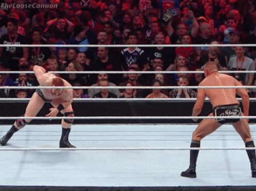 Gunther Sheamus Clothesline GIF