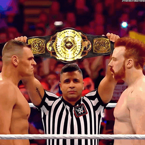 Gunther Vs Sheamus Intercontinental Championship GIF