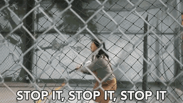 Gus Johnson The Shining Stop It GIF