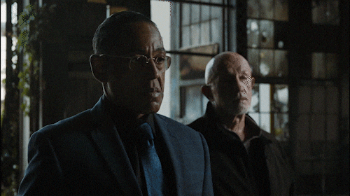 Gustavo Fring Facing Mike Ehrmantraut GIF