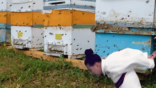 Guy Chasing Off Bees GIF