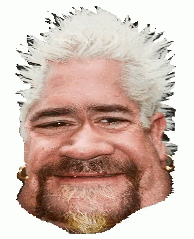 Guy Fieri Ugly Faces GIF