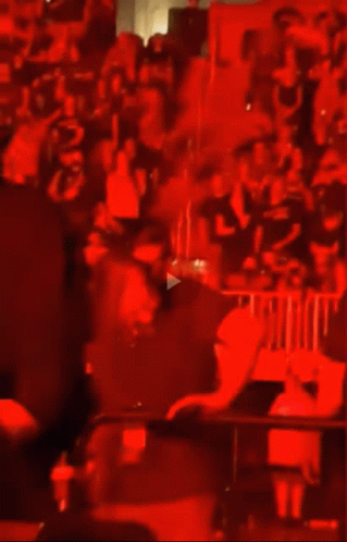 Guy Fieri Watching Concert GIF