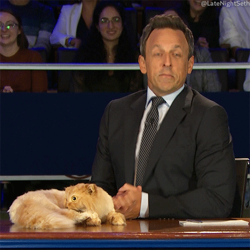 Guy Freak Out Sleeping Cat GIF