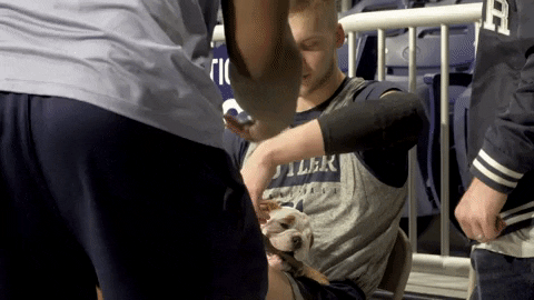 Guy Holding English Pitbull Part Of Butler Bulldogs Team GIF