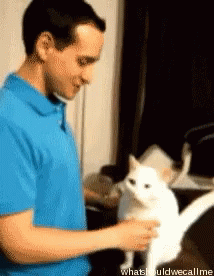 Guy Hugging With Cat Lover GIF