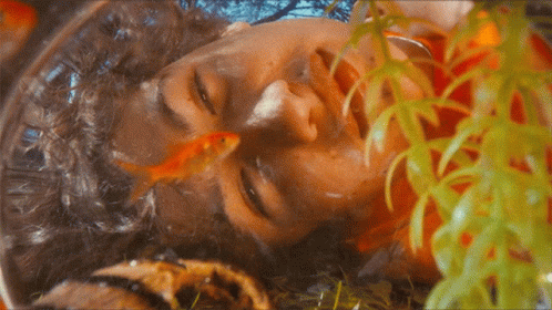 Guy Looking Through Bowl Of Goldfish GIF