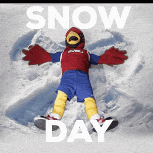 Guy On Hawks Mascot Enjoying Snow Day GIF