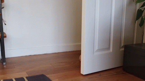 Guy Slowly Crawling Inside His Room GIF