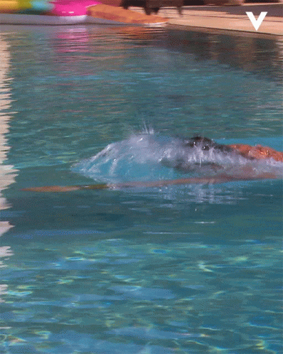 Guy Swim In The Pool GIF