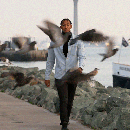Guy Walking With Pigeons Flying GIF