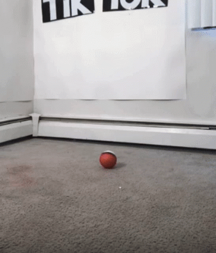 Guy Wearing Pokemon Magikarp Costume GIF