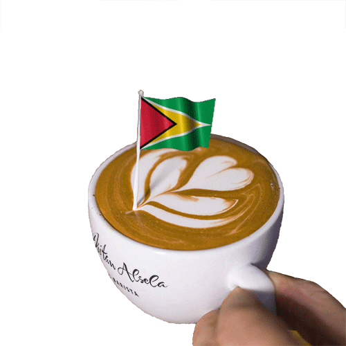 Guyana Flag Cappuccino GIF