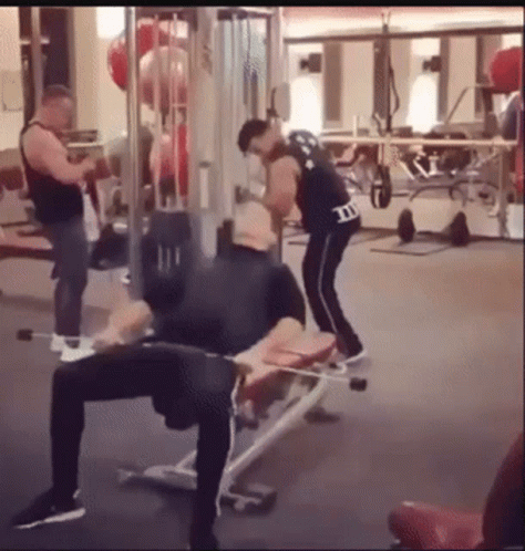 Gym Rat Wild Bench Press Work Out GIF