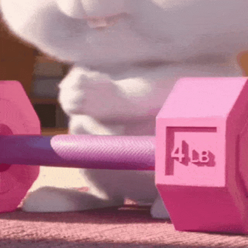 Snowball Bunny Gym Enthusiast Secret Life Of Pets GIF