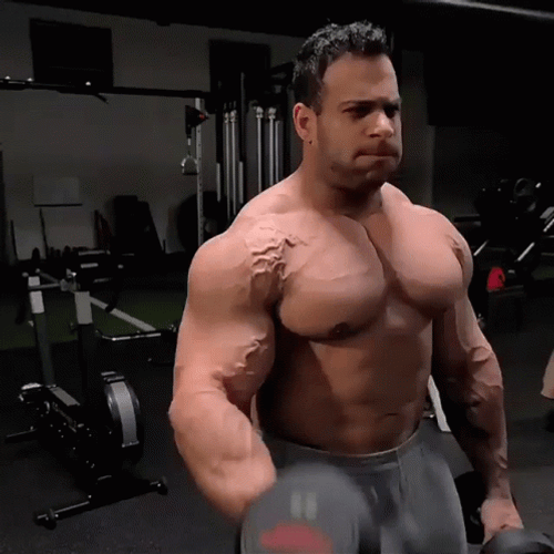 Gym Body Builder Lifting Dumbbell GIF