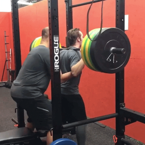 Gym Instructor Weigtlifting Squats GIF